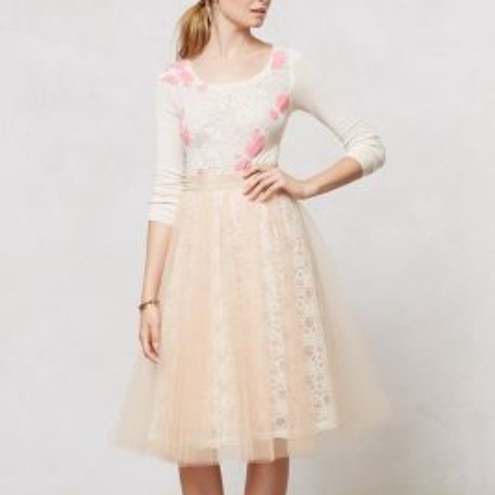 Anthro Alexandra Grecco Aurelie Tulle Skirt 6